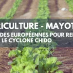 Cyclone Chido des aides européennes pour soutenir les agriculteurs et PME du secteur à Mayotte