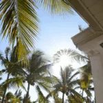 La Réunion plus d’1 milliard d’euros injectés pour accélérer la mutation écologique et sociale de l’île