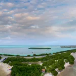 France 2030 – PPR Outre-mer - un levier stratégique pour l’économie des territoires ultramarins