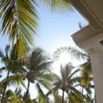 ZFANG 2026 un pilier stratégique du développement économique des outre-mer