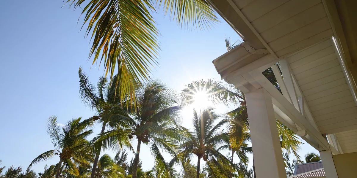 ZFANG 2026 un pilier stratégique du développement économique des outre-mer