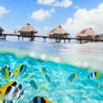 Tourisme ultramarin 2025 : un moteur économique toujours stratégique pour les Outre-mer