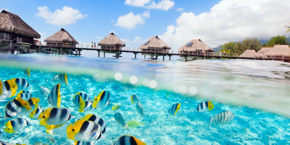 Tourisme ultramarin 2025 : un moteur économique toujours stratégique pour les Outre-mer